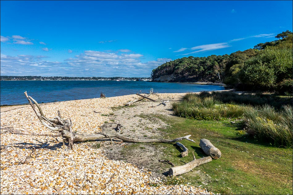 Brownsea Island Andrews Walks